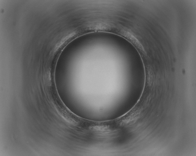 X0000068760251200604281220
