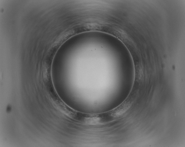X0000068760266200604281220