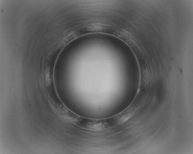X0000068760267200604281220