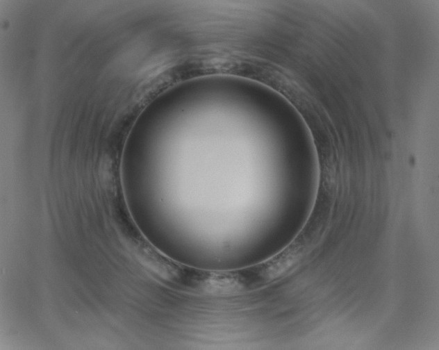 X0000068760270200604281220