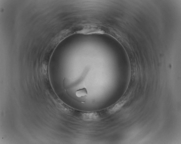 X0000068760281200604281220