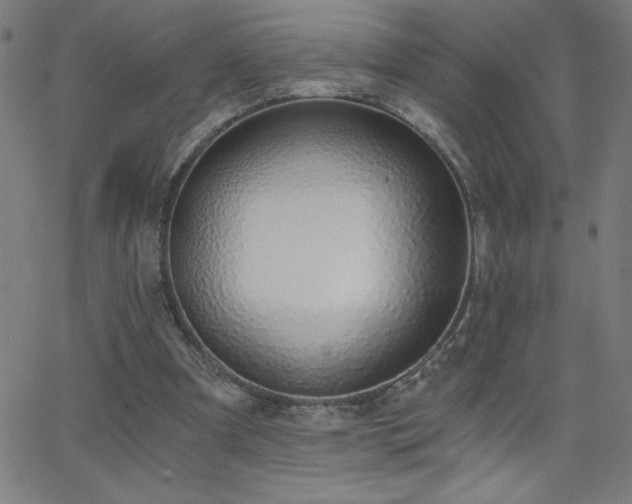 X0000068760297200604281219