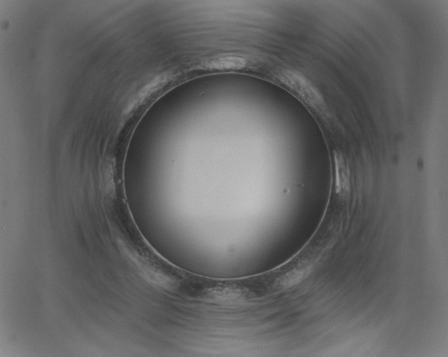 X0000068760300200604281219