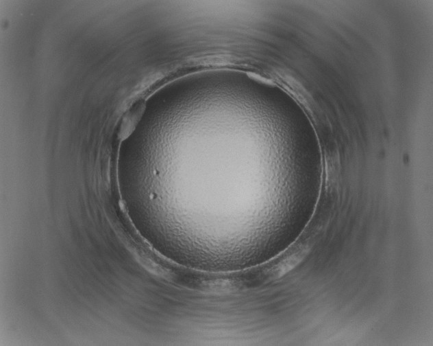 X0000068760301200604281219