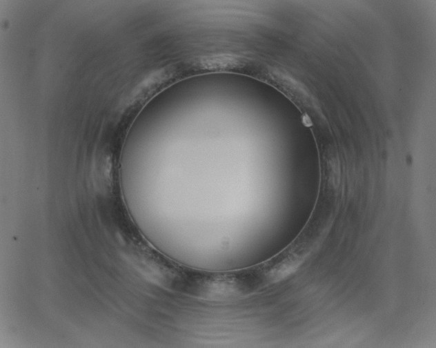 X0000068760308200604281219