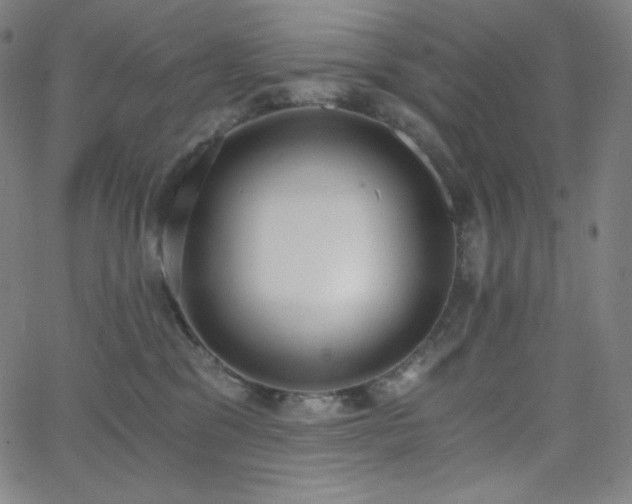X0000068760329200604281219
