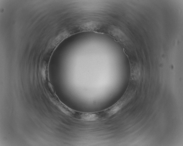 X0000068760334200604281219