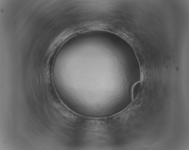 X0000068760339200604281218