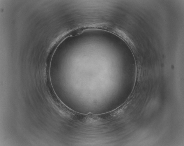 X0000068760346200604281218