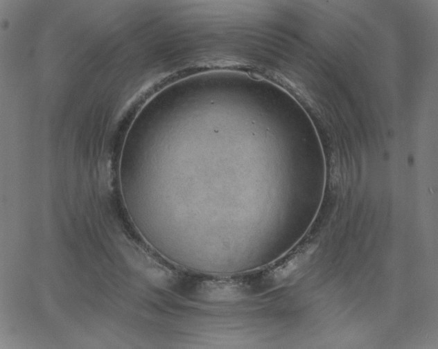 X0000068760351200604281218