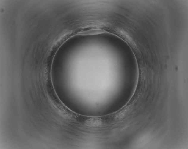 X0000068760354200604281218