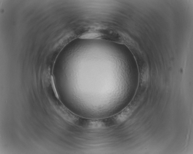 X0000068760376200604281219