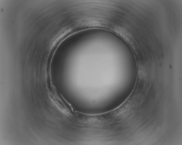 X0000068760390200604281218