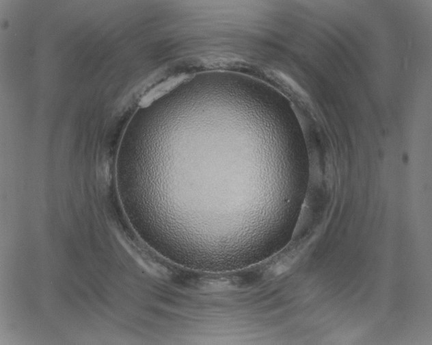 X0000068760405200604281218