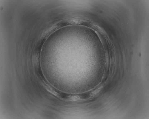 X0000068760409200604281217
