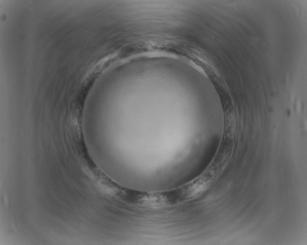 X0000068760415200604281217