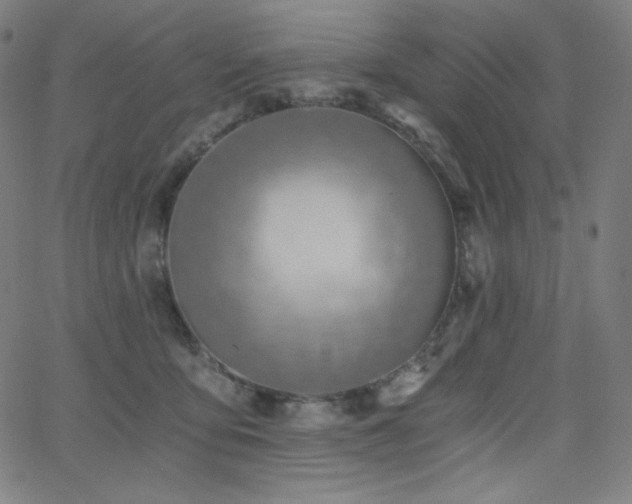 X0000068760419200604281217