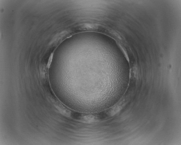 X0000068760423200604281217