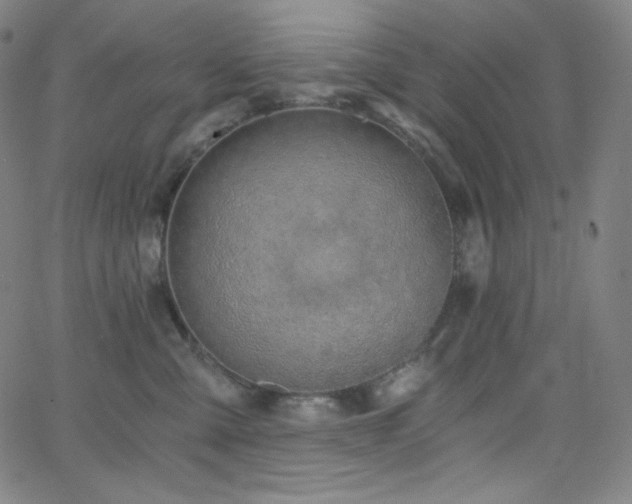 X0000068760427200604281217