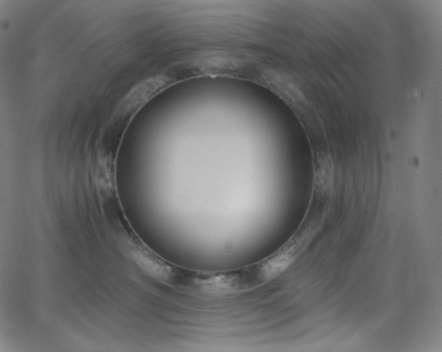 X0000068760430200604281217