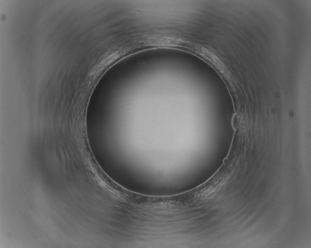X0000068760433200604281216