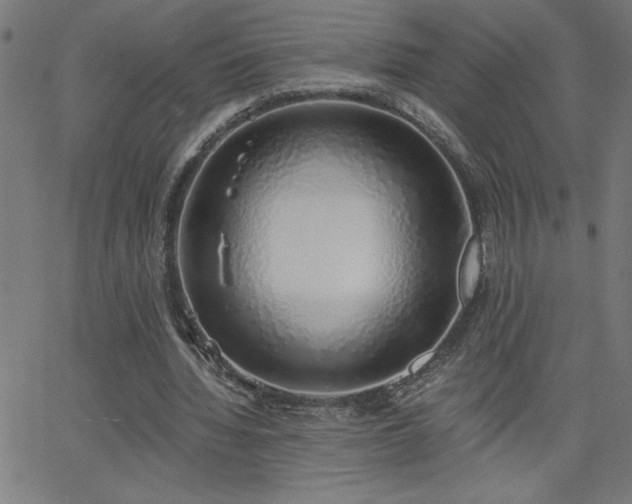 X0000068760436200604281216