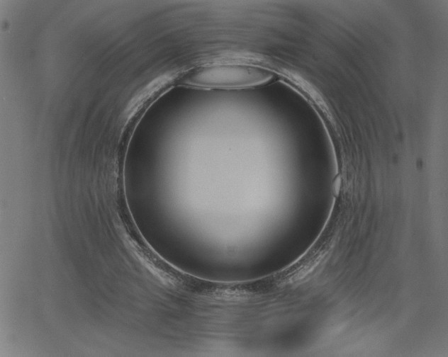 X0000068760437200604281216
