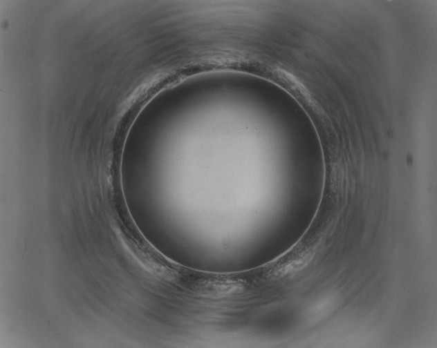 X0000068760443200604281216