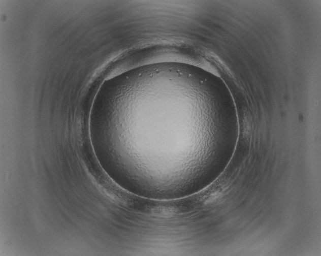 X0000068760444200604281217