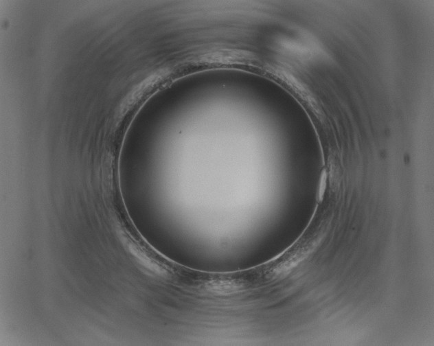 X0000068760445200604281217