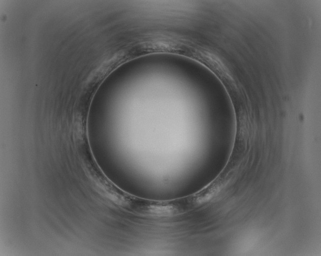 X0000068760457200604281217