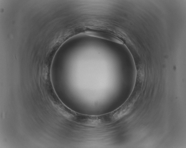 X0000068760458200604281217