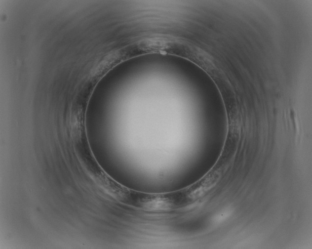 X0000068760460200604281217