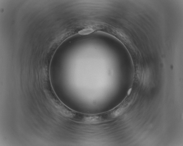 X0000068760461200604281217