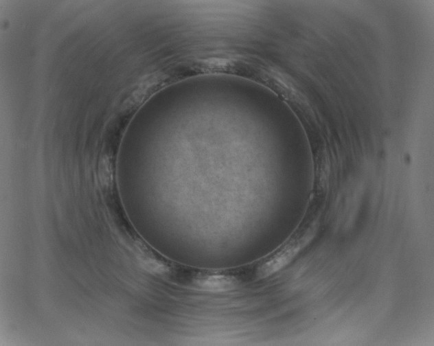 X0000068760467200604281217