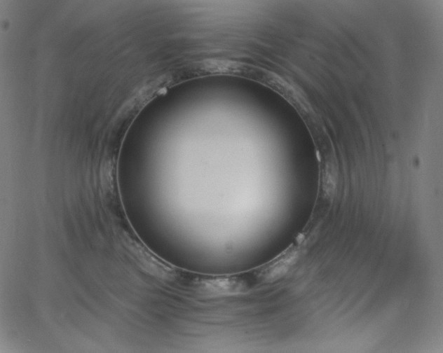 X0000068760473200604281217
