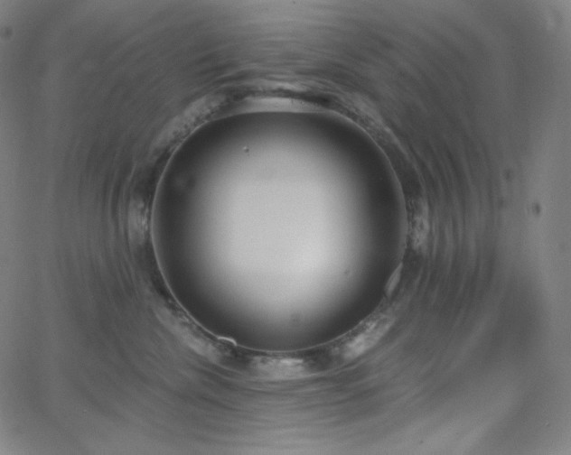 X0000068760476200604281217