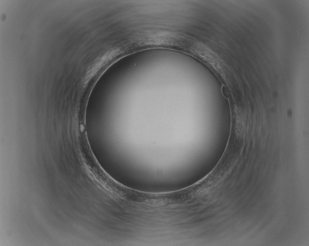 X0000068760482200604281216