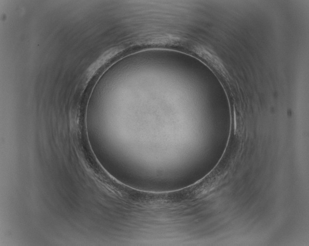 X0000068760483200604281216