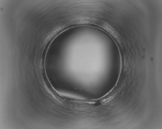 X0000068760485200604281216