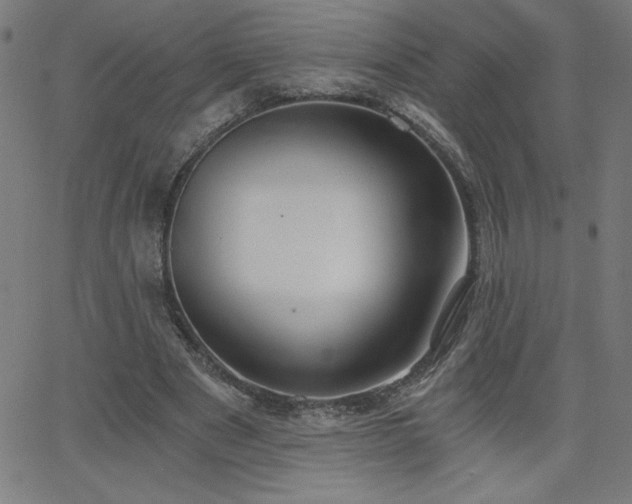 X0000068760489200604281216