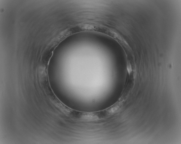 X0000068760521200604281216