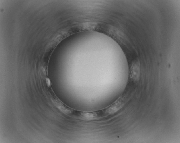 X0000068760522200604281216