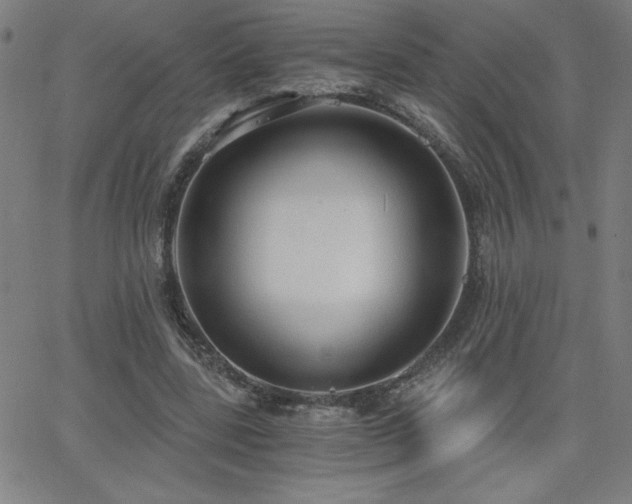 X0000068760539200604281215
