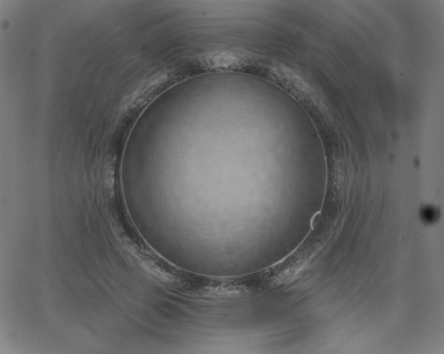 X0000068760545200604281215