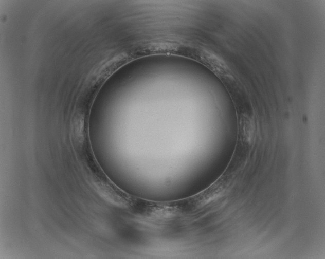 X0000068760550200604281215