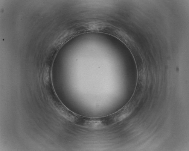 X0000068760554200604281215