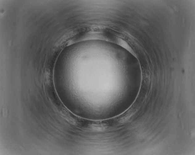 X0000068760556200604281215
