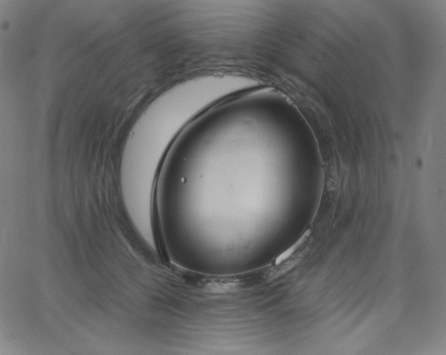 X0000068760560200604281215