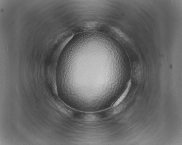X0000068760562200604281215